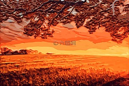 字段,日落,橙色