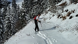 滑雪,山,阿拉维斯