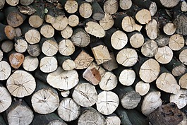 holzstapel,樹干,紋理