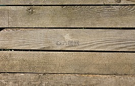 木,紋理,結(jié)構(gòu)