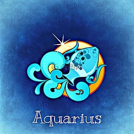 水瓶座,十二生肖,星座