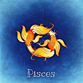 魚,十二生肖,星座