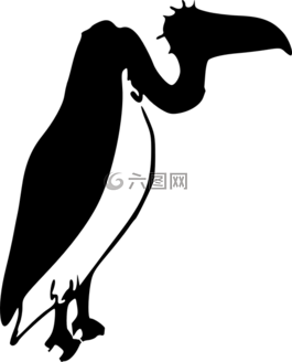 兀鷲,鳥,黑