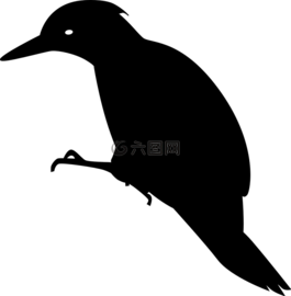 啄木鳥,動(dòng)物,鳥