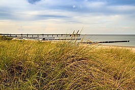 波羅的海,海灘,海