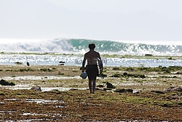 沖浪,海灘,體育