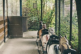 騎,老游樂(lè)園,老