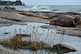 景觀,海,巖石