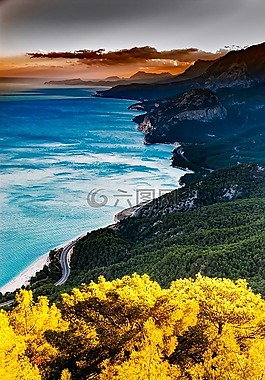 火雞,海,海洋