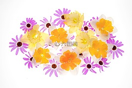 鮮花,黃色的花,花的