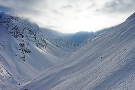 雪,冬季,冷淡地