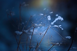廠,褪色,冬天