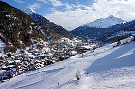 雪,冬季,冷淡地