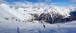 雪,冬季,冷淡地