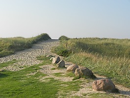 丹麦,blavand,沙丘