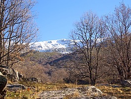 景觀,雪,性質