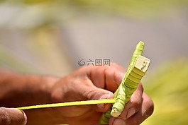 克魯斯,帕爾馬,星期日