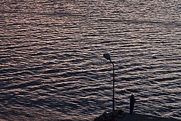 海洋,男子,景觀