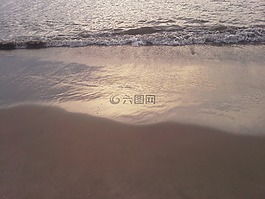 海灘,岸,日落