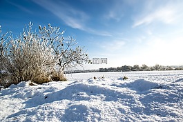 冬天,字段,雪