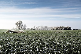 字段,收獲,性質