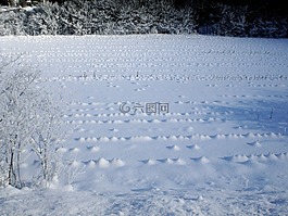 白,冬天,字段