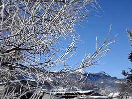 冬天,寒冬,雪