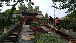 廟宇,古風,茶園