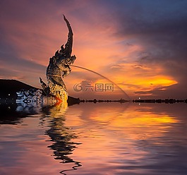 蛇,海,水
