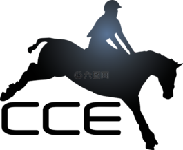体育,骑马,马