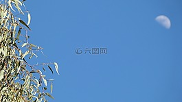 月亮,一天,天空
