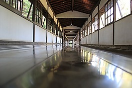 地板,反思,木材