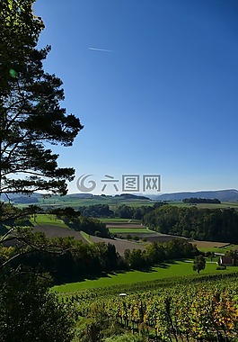 景觀,性質(zhì),葡萄藤