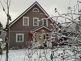 冬天,首頁,雪