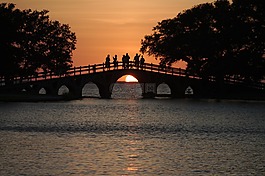 日落,公園,橋