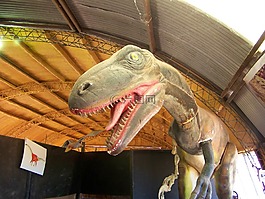 恐龙,saurus,tiranosaurio