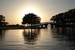 日落,公園,橋