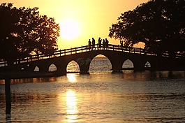日落,公園,橋