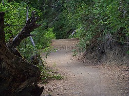 路,走,自然
