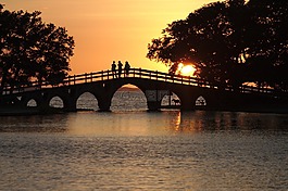 日落,公園,橋