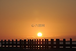 日出,鳥,晚間
