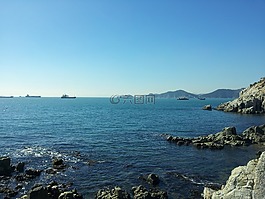 海,海灘,魷魚
