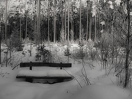 雪,冬天,银行