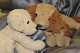 wuffi,貝洛,狗