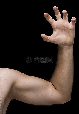 男性,臂,nov