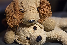 wuffi,貝洛,狗