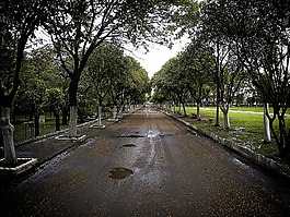 路徑,和平,雨季