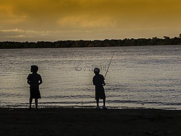 河,捕魚,景觀