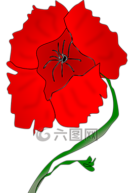 紅色,花,盛開