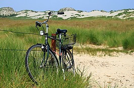 自行車,沙丘,沙